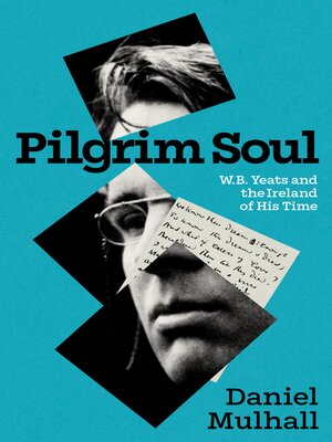 cover image of Pilgrim Soul